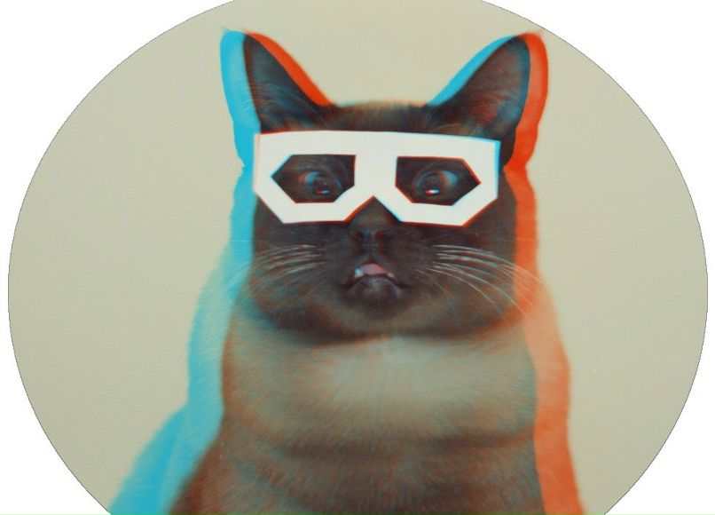 Миша Сипкин | 