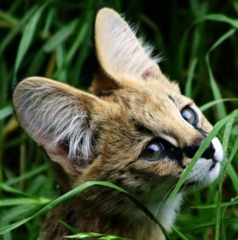 Дмитрий Сладких ₪ | Рязань