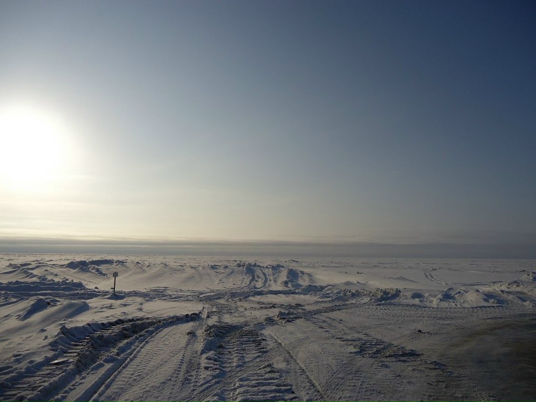 Тимур Ибраев | Пермь