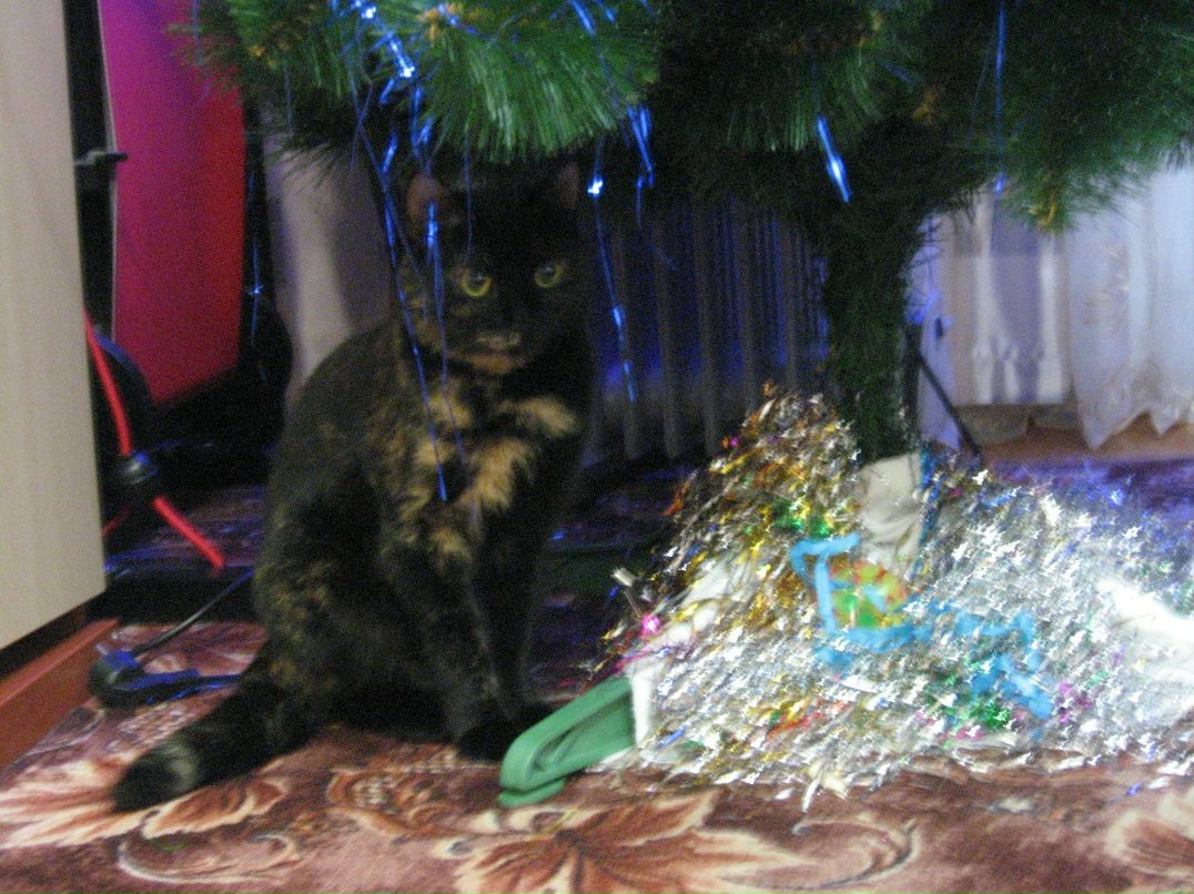 Андрей Маляревич | Уссурийск