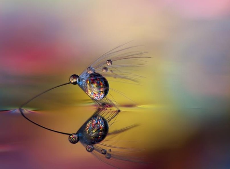 Ленуся Шашина | 