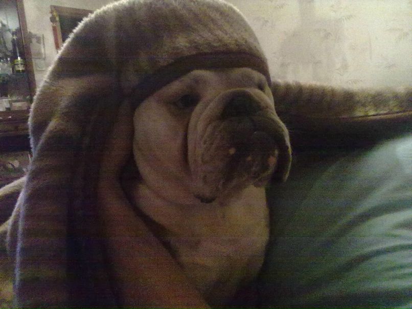 Ирина Осюхина | Санкт-Петербург