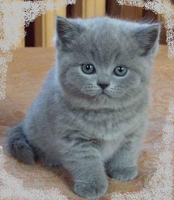 Наталья Кузьмина | Харьков