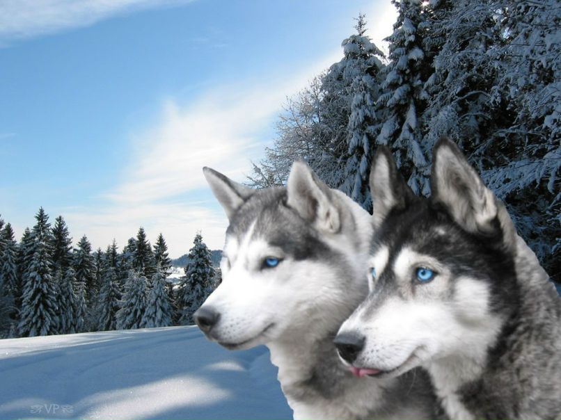 Танюша Ваколюк | Киев