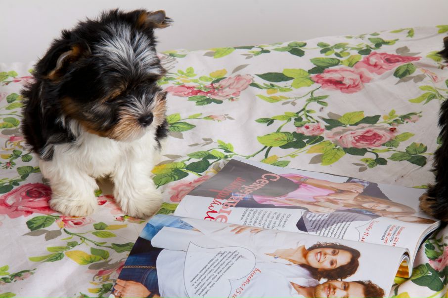 №169, Элеонора Алибаева, Москва №169, Элеонора Алибаева, Москва