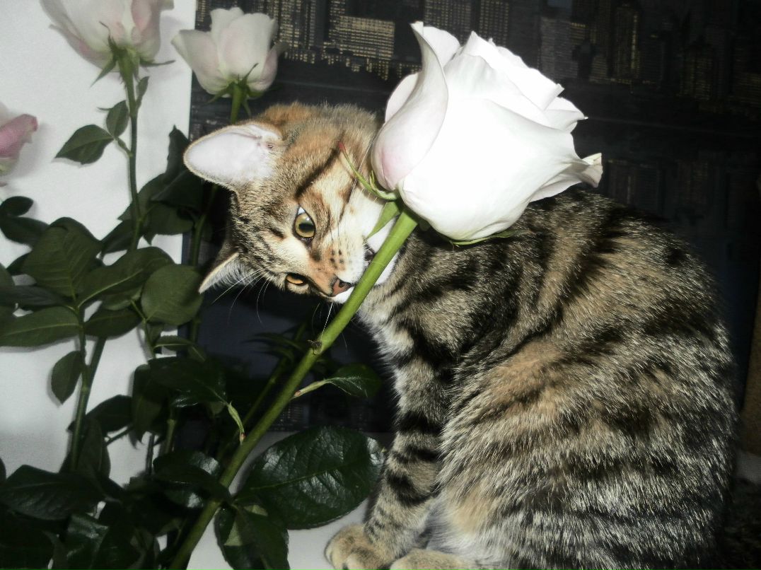 Елена Андреева | Верхняя Пышма