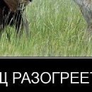 №12, Юленька Лапочка, 41 год, Санкт-Петербург №12, Юленька Лапочка, 41 год, Санкт-Петербург