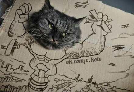 Павел Расюк | Новосибирск