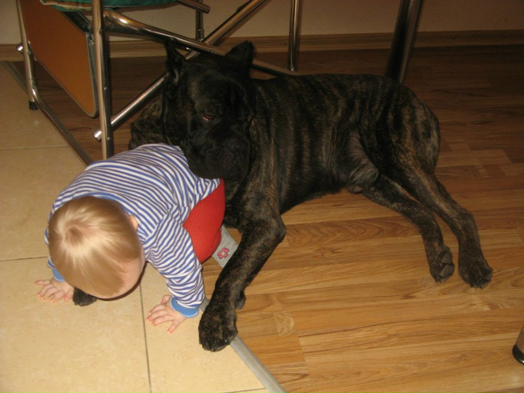 Наталия Чекалева | Череповец