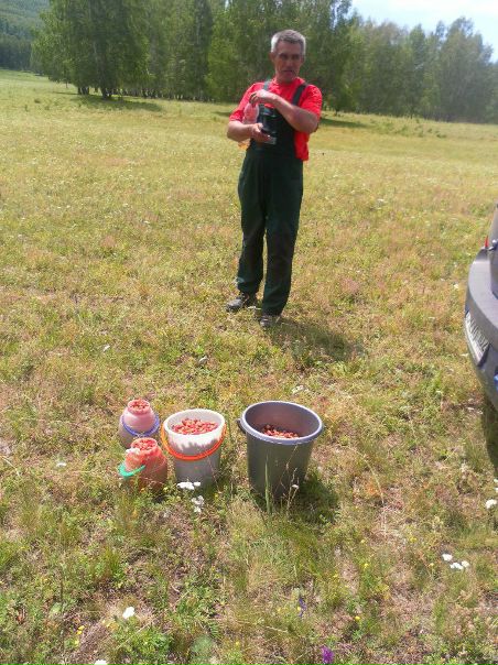 №14, Инсаф Магафуров №14, Инсаф Магафуров