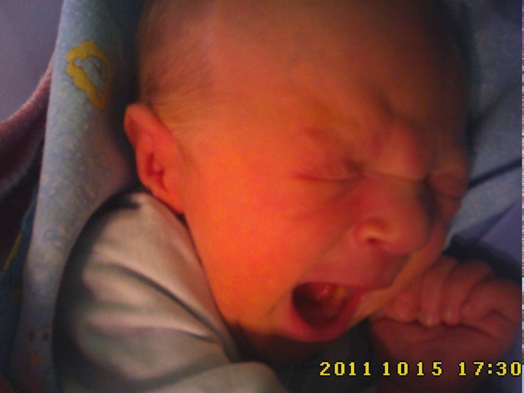 Владислав Семенов | Санкт-Петербург