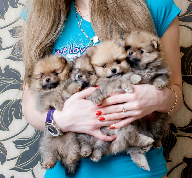 Таша Виниминиблонди ☆ | Москва