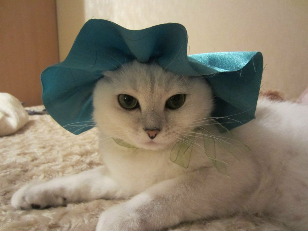 Оля Романова | Москва