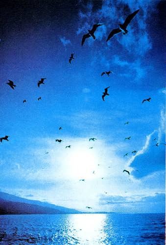 Яна Гуртовая | Одесса