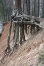 Фотография Люлиной Веры