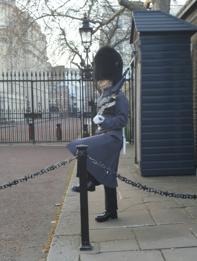 Анна Сватовская | Санкт-Петербург