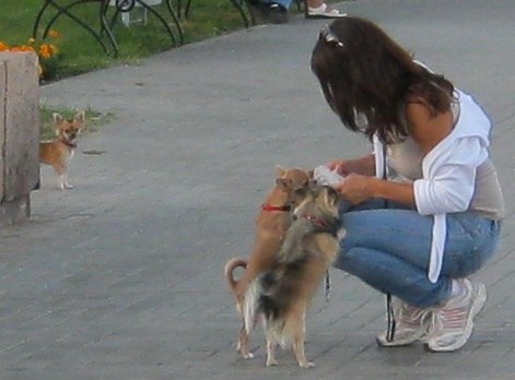 Валерия Бобичева | Волгоград