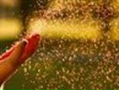 Яночка Педоренко | Полтава