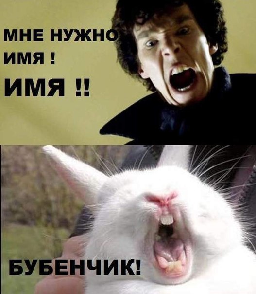 №100, Няшка Кавайный, 80 лет, Кушкет-Баш №100, Няшка Кавайный, 80 лет, Кушкет-Баш