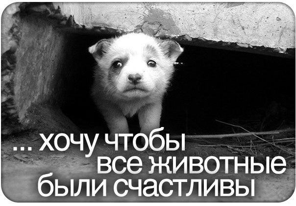 №87, Людмила Олейник, Конотоп №87, Людмила Олейник, Конотоп