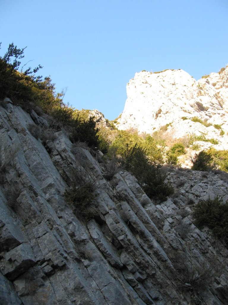 Дарья Довгун | Москва