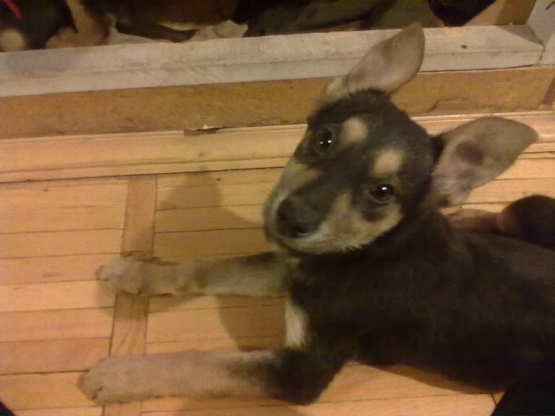 Санька Родионова | Москва