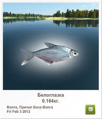 Никита Коркин | Алексин