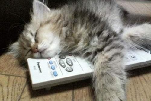 Роман Романів Романович | Самбор