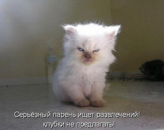 Степан Прокопчик Kennit | Минск