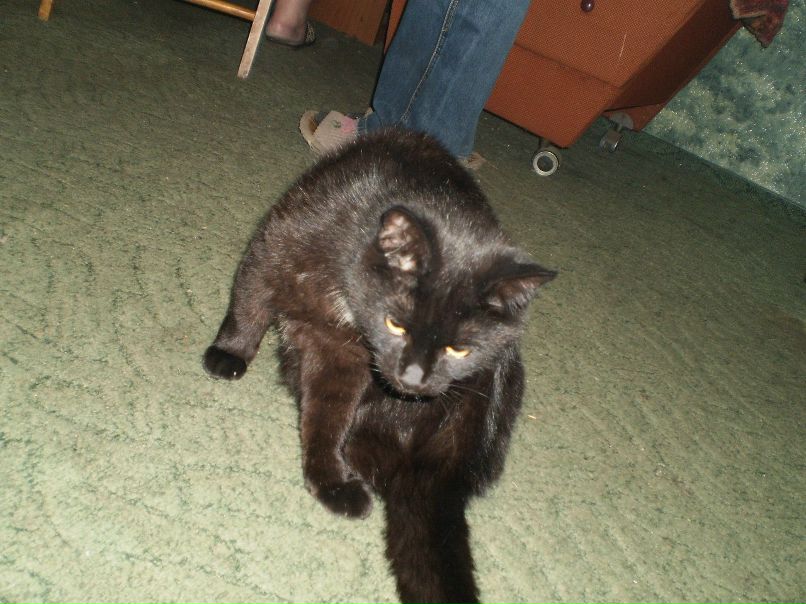 Всеслав Фомин | Кривой Рог