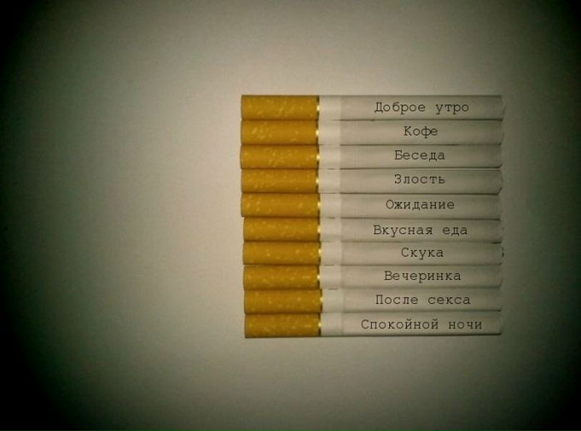 №116, Вероника Кричевцова, Люберцы №116, Вероника Кричевцова, Люберцы