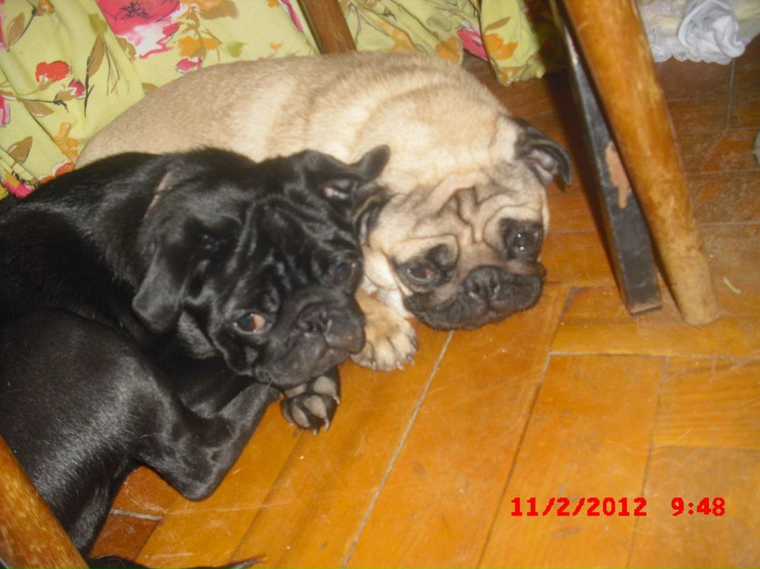 Анна Меркулова Александровна | Харьков