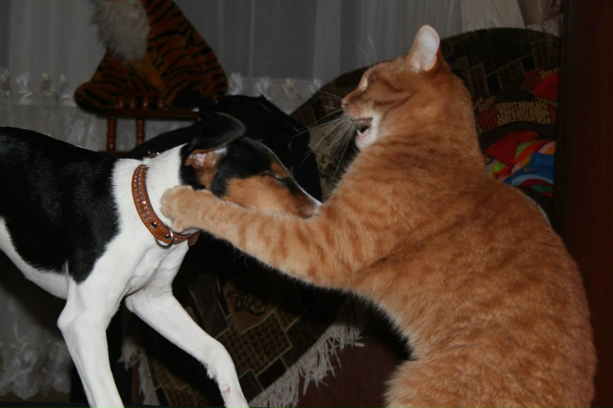 Алёна Сауренко | Кострома