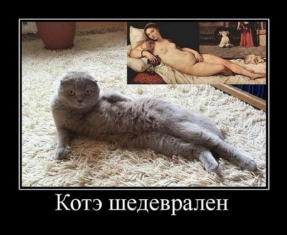 Евгения Пронина-Трифонова | Калининград