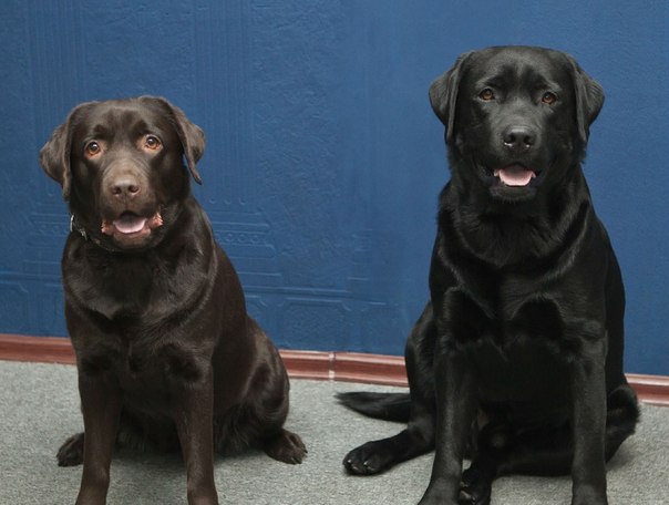 №10, Марина Бойкова №10, Марина Бойкова