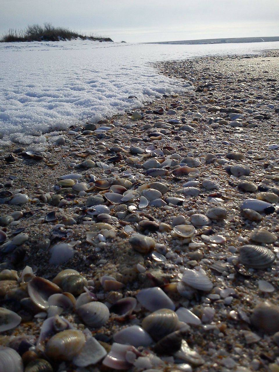 Татьяна Кравченко | Киев