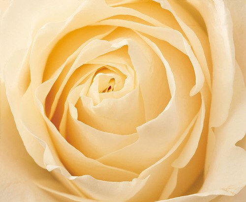 Irina Kovaleva | Коломна