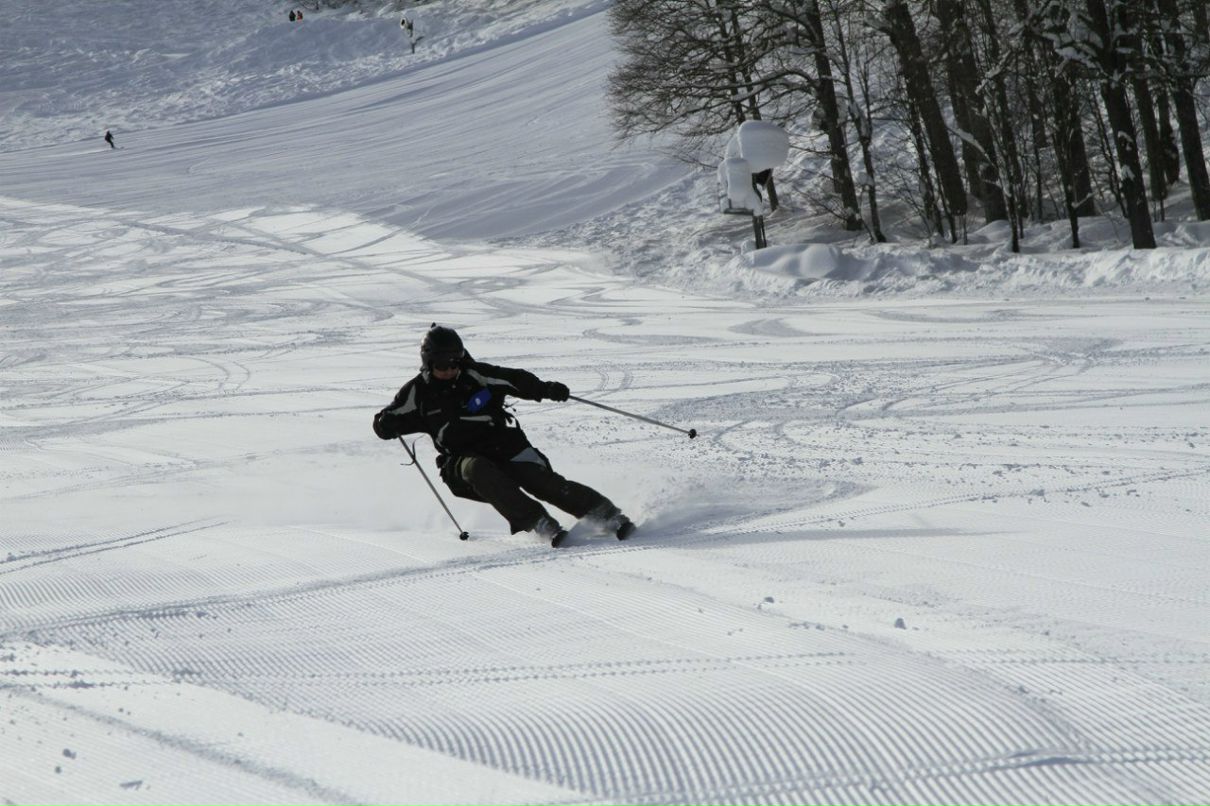 Виктор Леший | Сочи