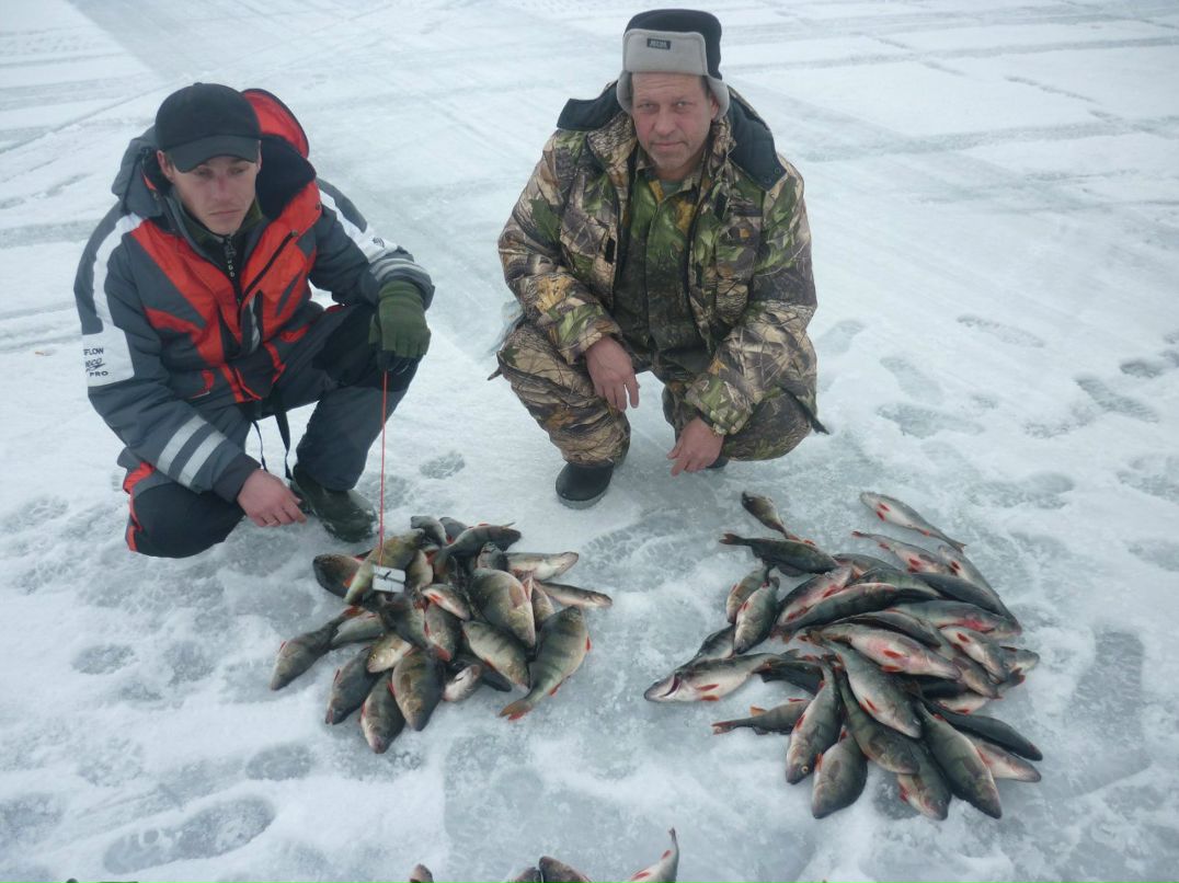 Денис Гришаев | Санкт-Петербург
