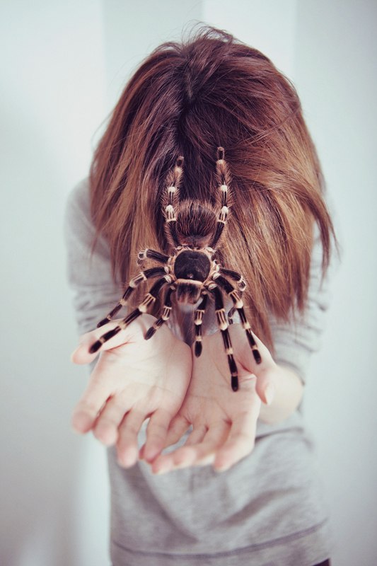 Вероника Федорова | Санкт-Петербург