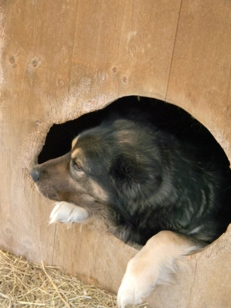Петро-Андрій Власійчук | Ивано-Франковск