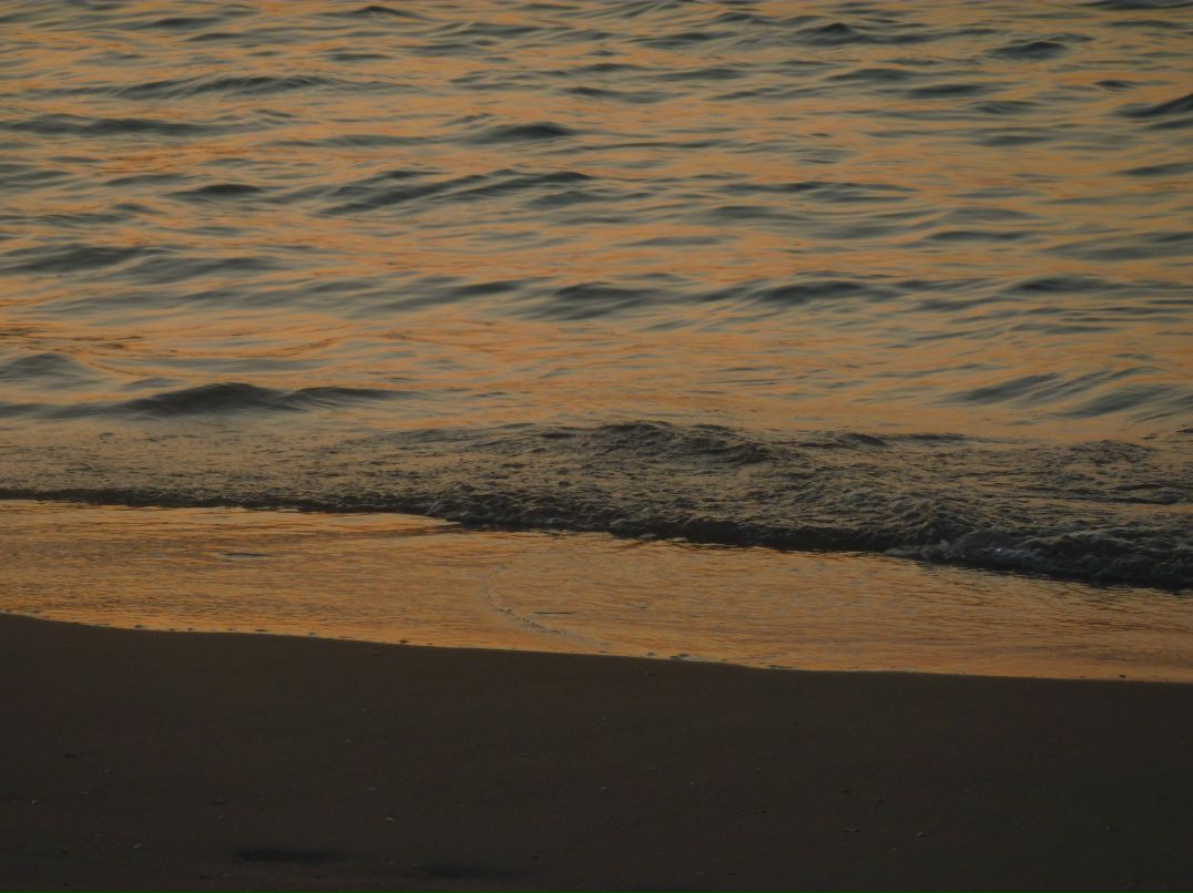 Ирина Павлова | Санкт-Петербург