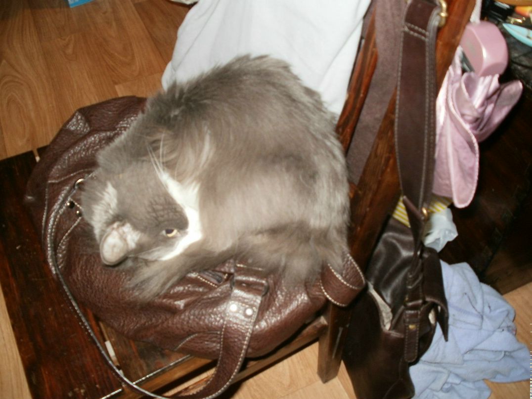 Анна Дехтярук | Санкт-Петербург