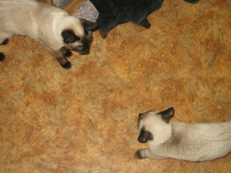 Марина Маркова | Санкт-Петербург