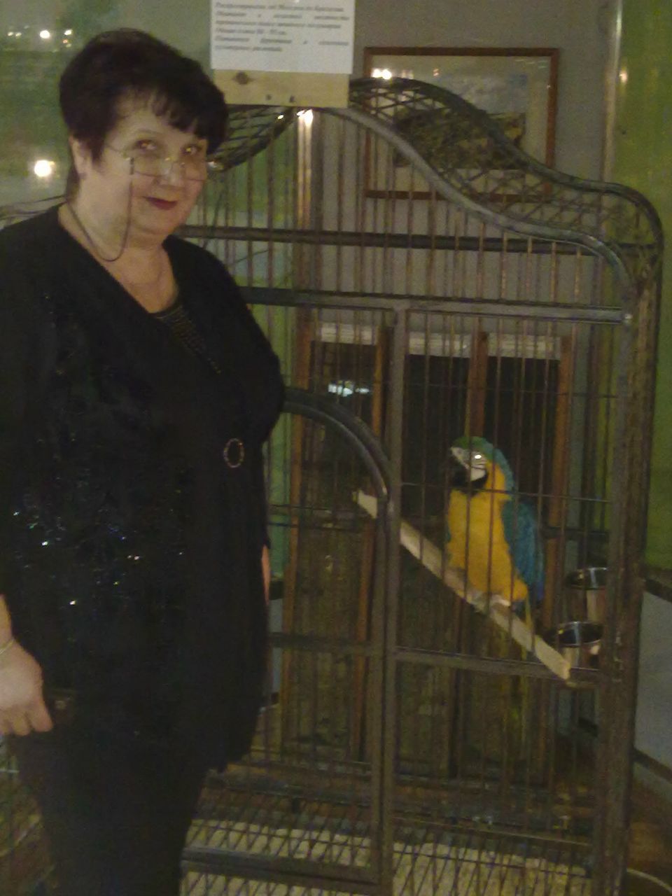 Татьяна Серченко | 