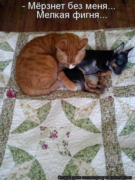 Ксения Чулкова | 