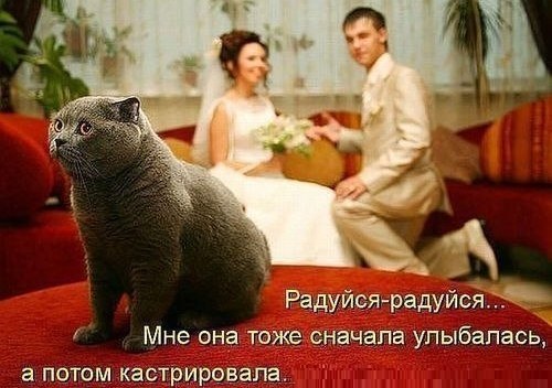 Натусик Константинова | Санкт-Петербург