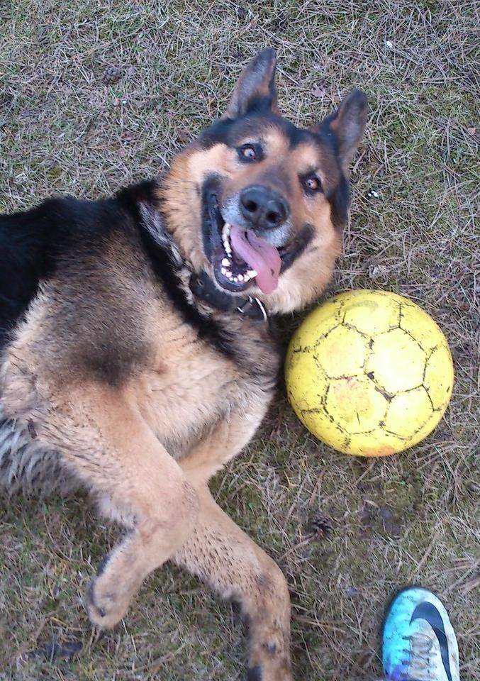 Илья Евсюченя | Минск