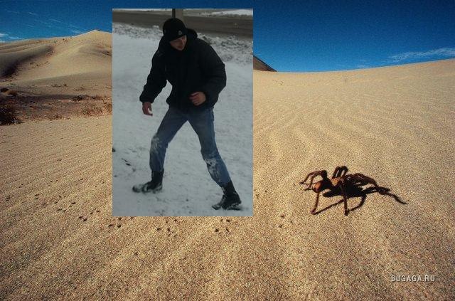 Филипп Калашников | 