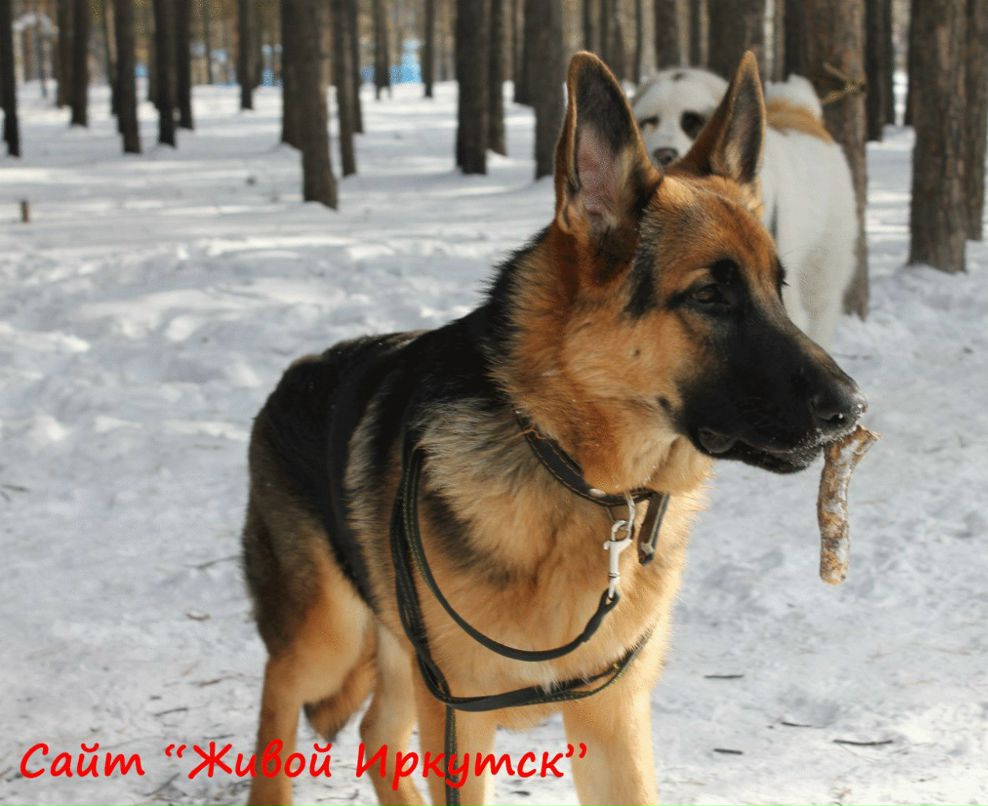 Аня Сороковикова | Ангарск